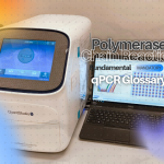 Istilah dalam qPCR